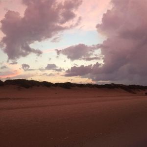 Meet your Posher, Jodi